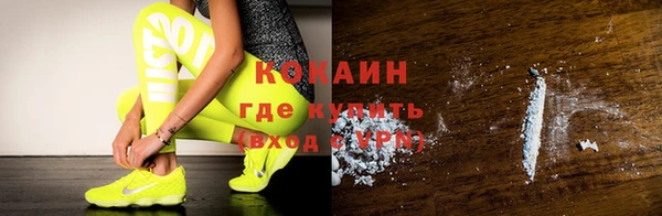PSILOCYBIN Каменка