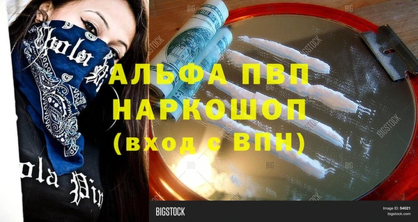 PSILOCYBIN Каменка