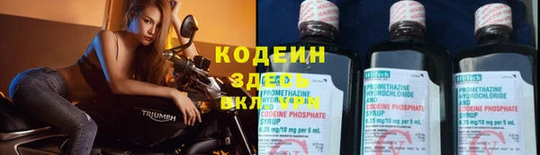 сатива Иннополис