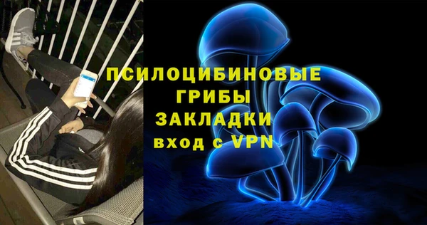 ешки Каменск-Шахтинский