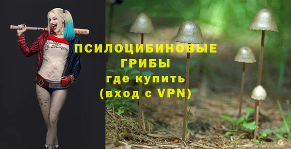 прущий лед Каменногорск