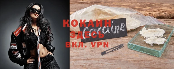 PSILOCYBIN Каменка