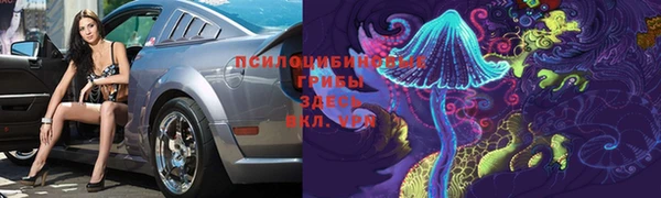 сатива Иннополис