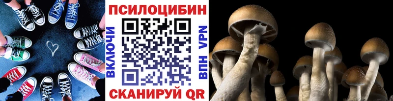 Купить  Ельня  Псилоцибиновые грибы Magic Shrooms 
