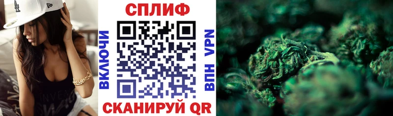 Купить закладки  Ельня  Бошки Шишки тримм 